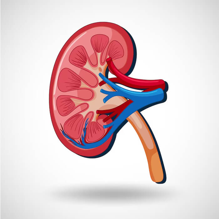Nephrology Department at IKDS Hospital Ranchi